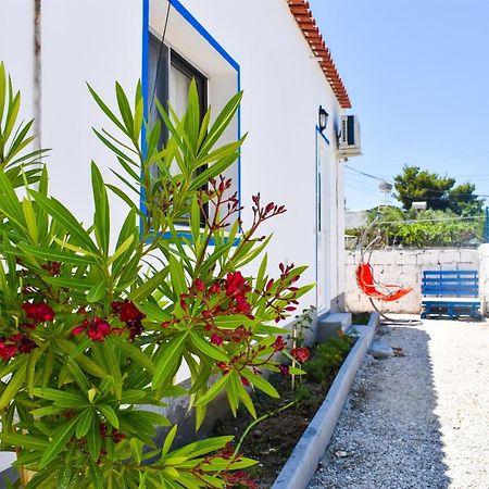 Troi Beach House فلورا المظهر الخارجي الصورة